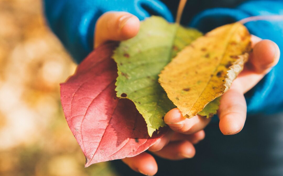 Top 5 Tax-effective Ways to Give at Year-End