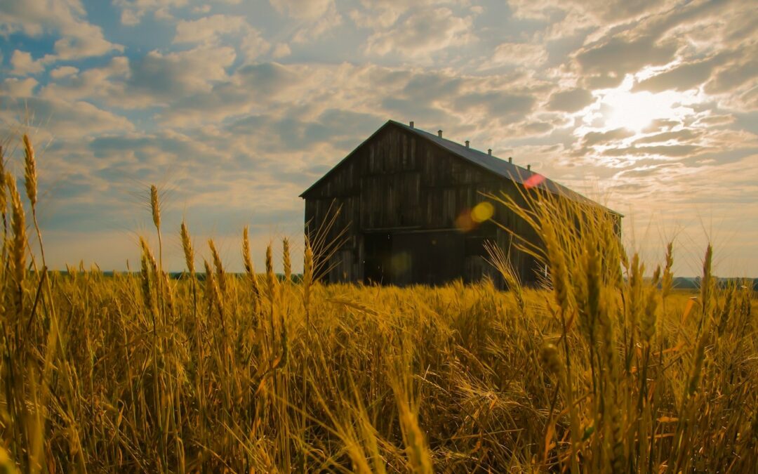 Why Your Business Succession Plan Can’t Wait