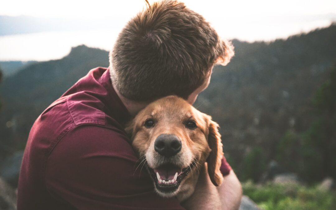 Including Pets in Your Legacy Plan