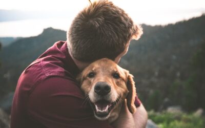 Including Pets in Your Legacy Plan