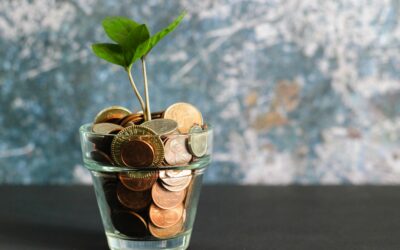 7 Questions to Ask a Nonprofit Before Making a Major Gift